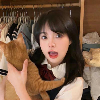 暗芝居第四季
